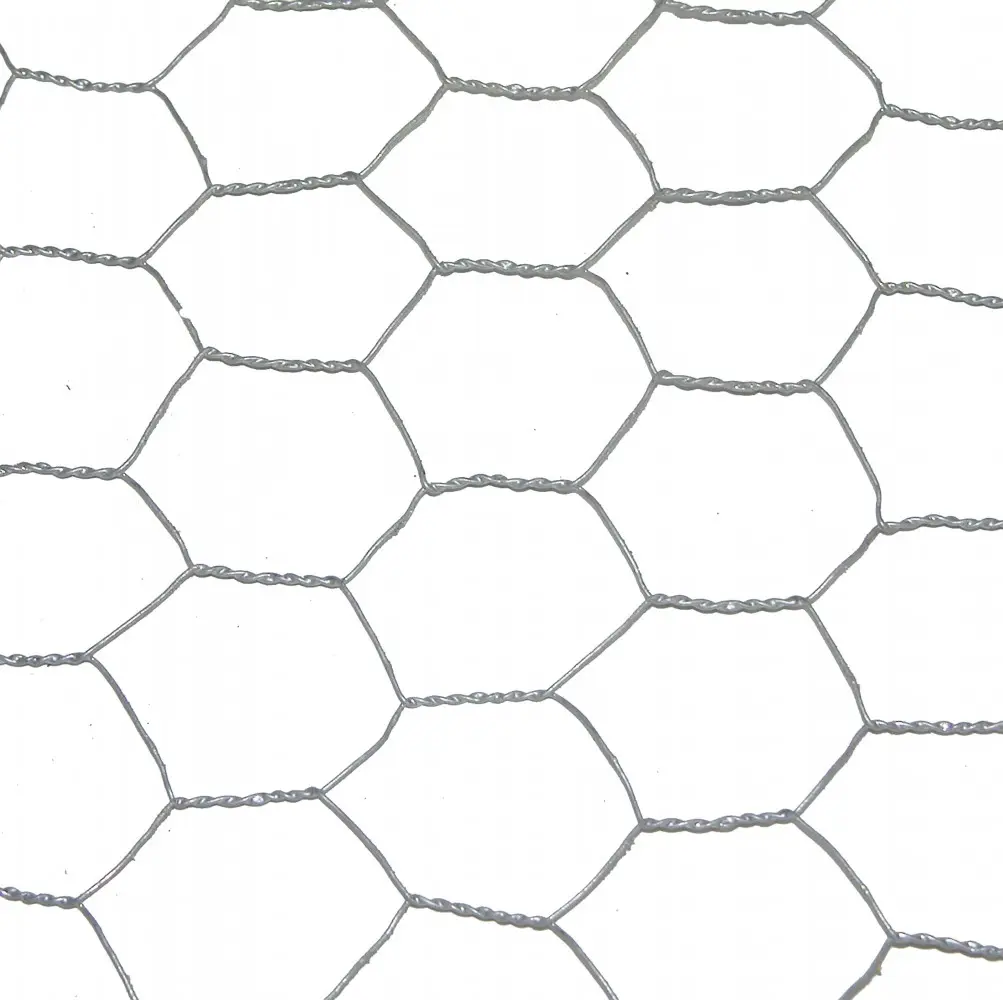 Grillage pour animaux triple torsion gris, H.0.5 x L.10 m, maille H.25 x l.25 mm Centrale Brico