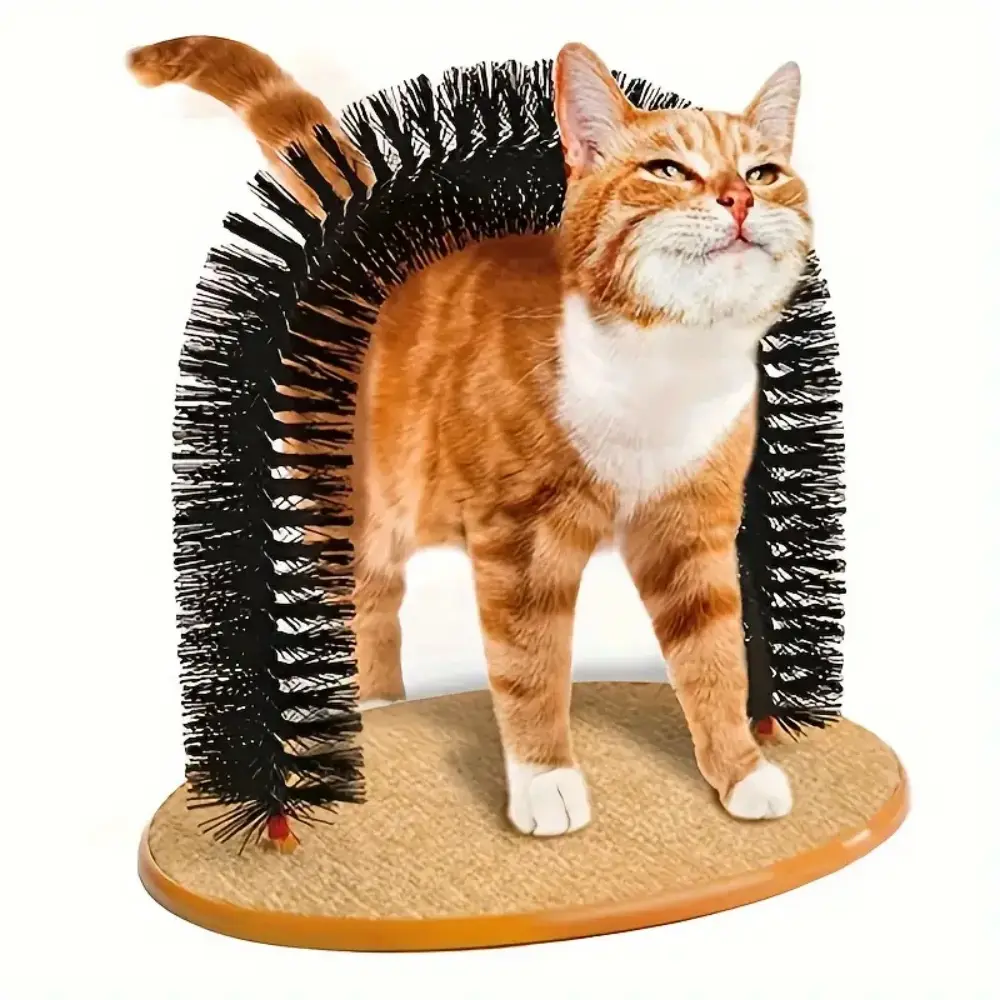 Griffoir pour chat IntiMeg