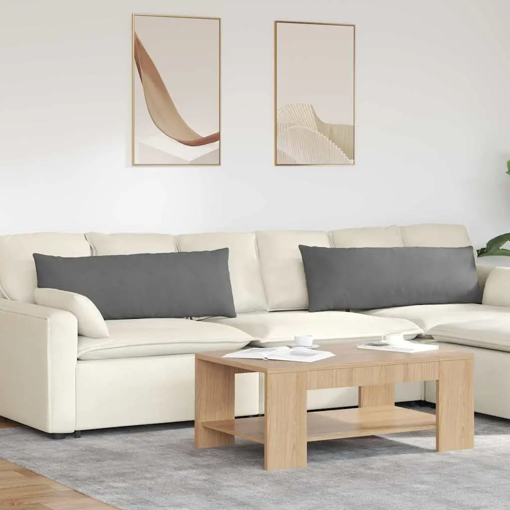 Lot de 2 Grands Coussins de Dossier Tissu Confortable pour Canapé Gris Foncé 120×40 cm – ComfortXL Outdoor Living