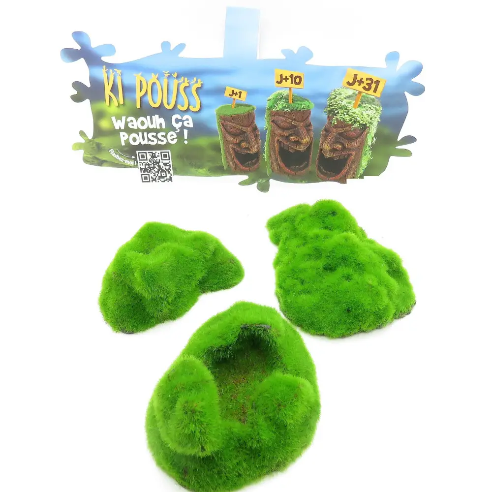 lot de 3 Galets ki pouss, 6.7 x 9.4 x 3 cm décoration aquarium
