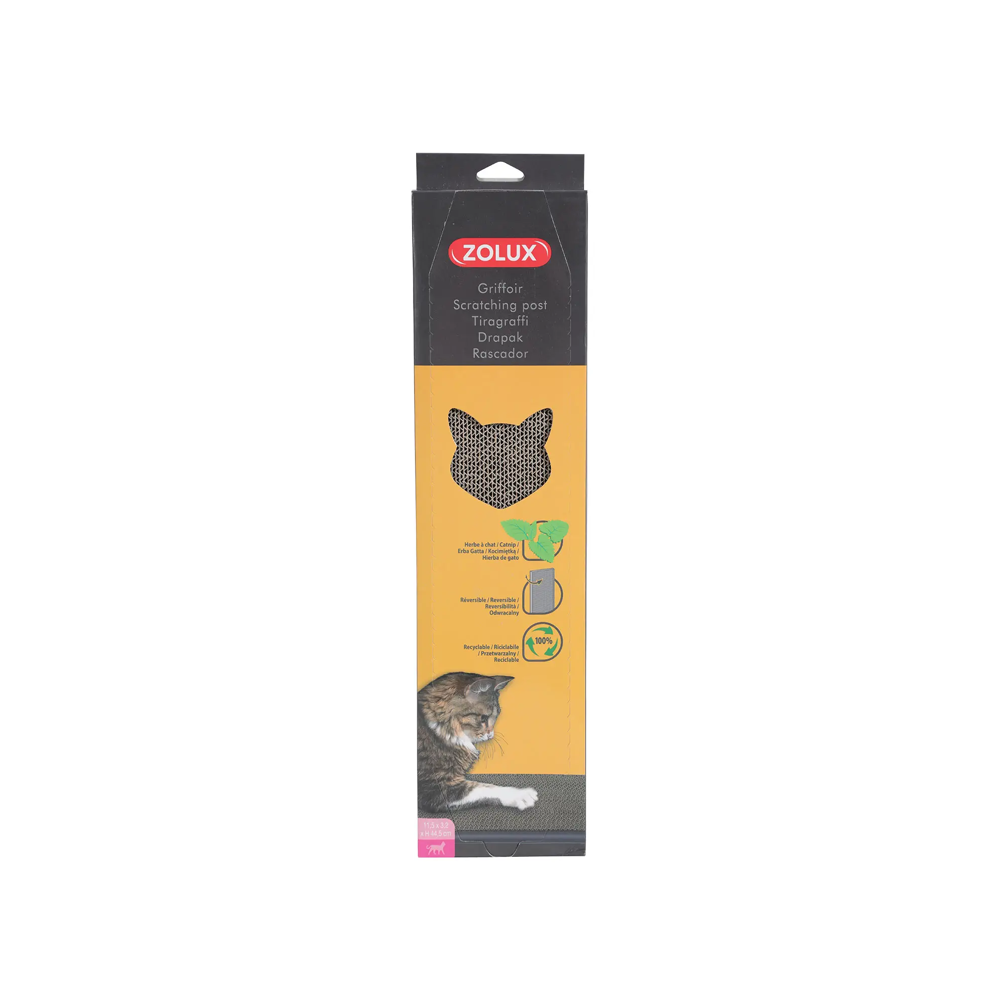 Griffoir en carton pour Chat