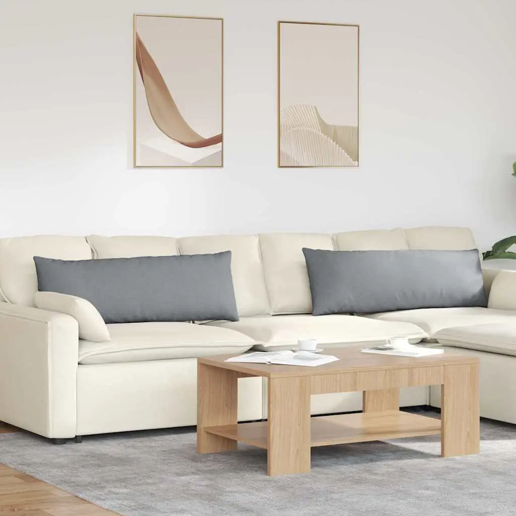 Lot de 2 Grands Coussins Tissu Déhoussable pour Canapé ou Banc Salon Gris Clair 120×40 cm – ComfortXL Outdoor Living