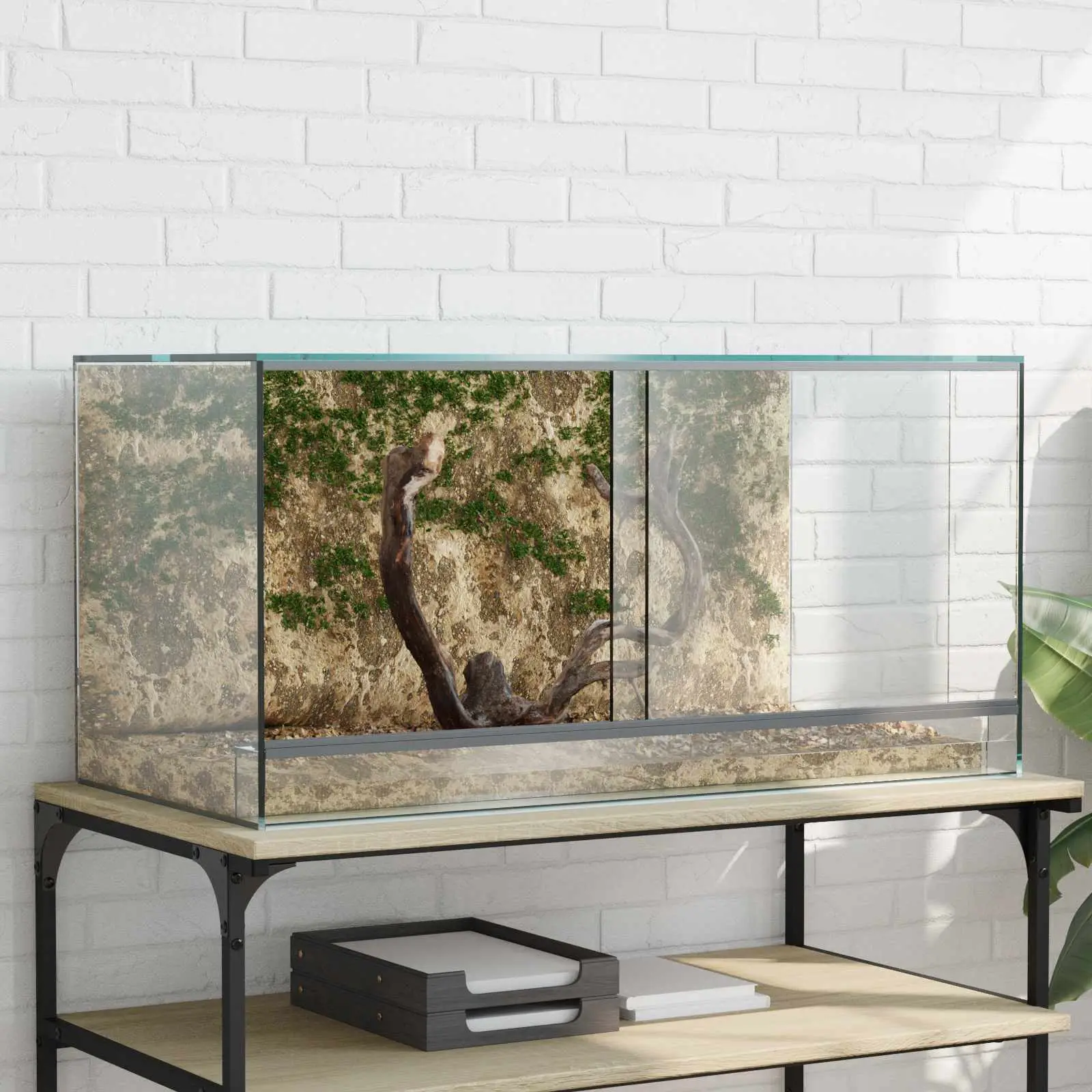 Grand Terrarium Verre pour Reptiles Vision 360° Aération Optimale 80x40x40 cm