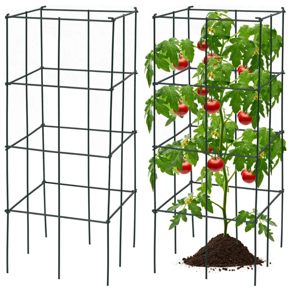 Lot de 4 Treillis à Tomates de Jardin pour Plantes Grimpantes Piquets de Support en Métal Résistant à la Rouille et Solide Cage à Tomates