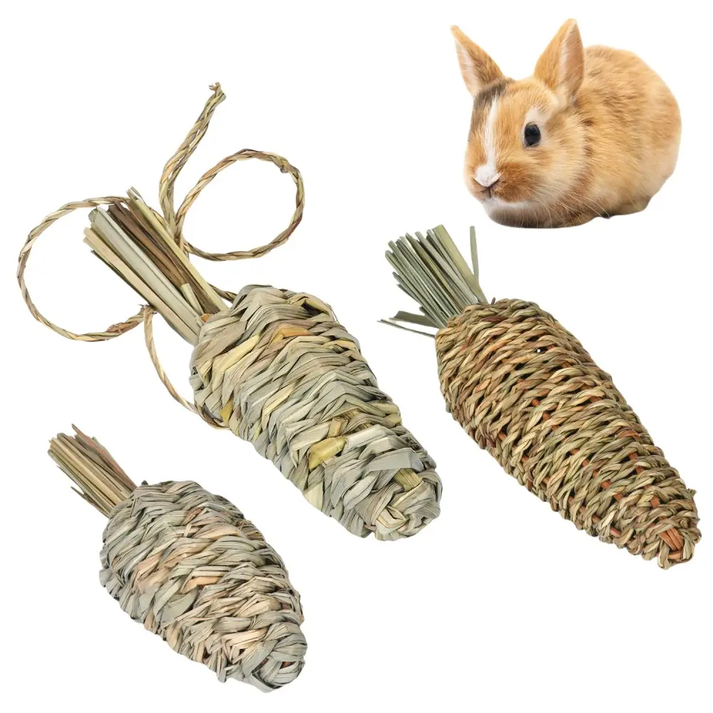 Lot de 3 jouets Plant Carrot IntiMeg