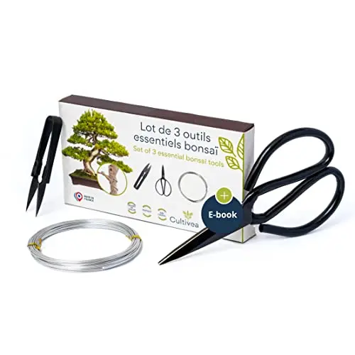 Lot de 3 outils essentiels bonsaï – Entretien Bonsaïs et Plantes – CULTIVEA®