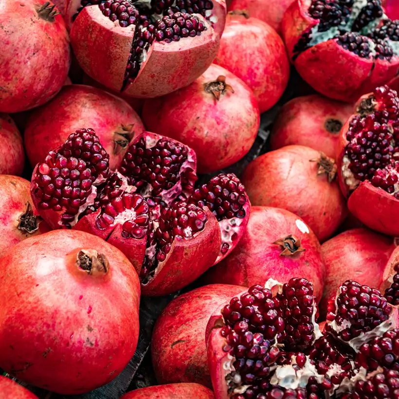 Grenadier à fruits