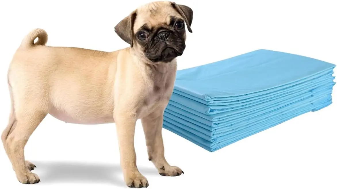 Lot de 300 Tapis Éducateurs pour Chiot, Alaise pour Chien Jetable à 5 Couches, 43 x 60 CM
