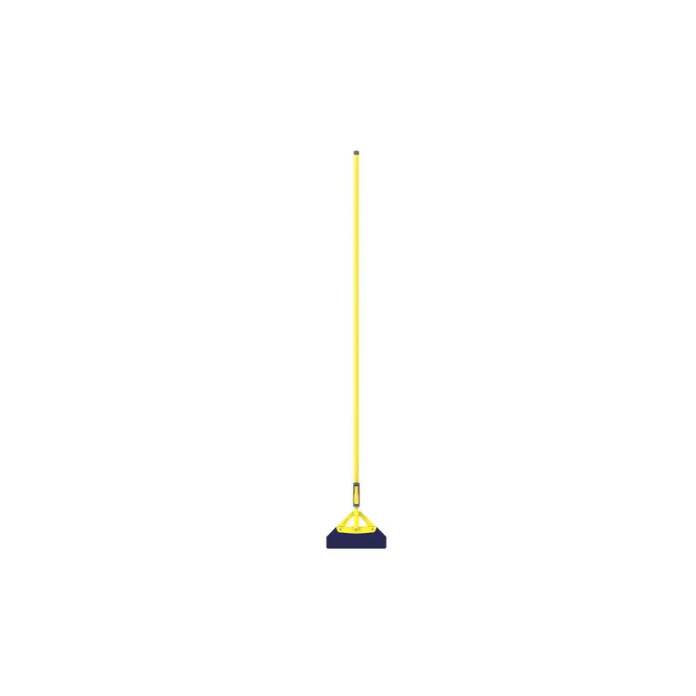 Grattoir 30 cm manche télescopique (2
