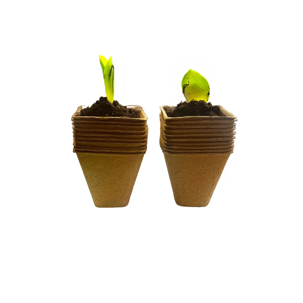 Lot de 20 – pots de semis