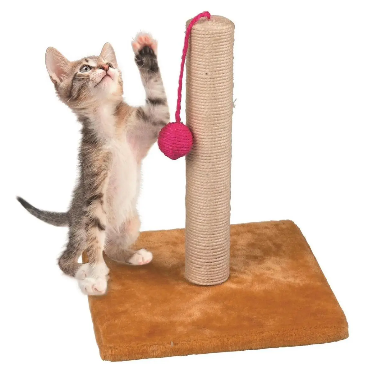 Griffoir pour Chat avec Balle Grattoir Chaton Hauteur 30 cm Peluche moelleuse