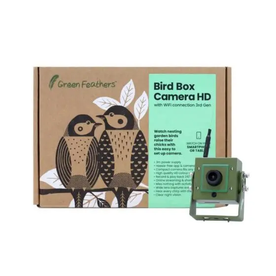Green Feathers