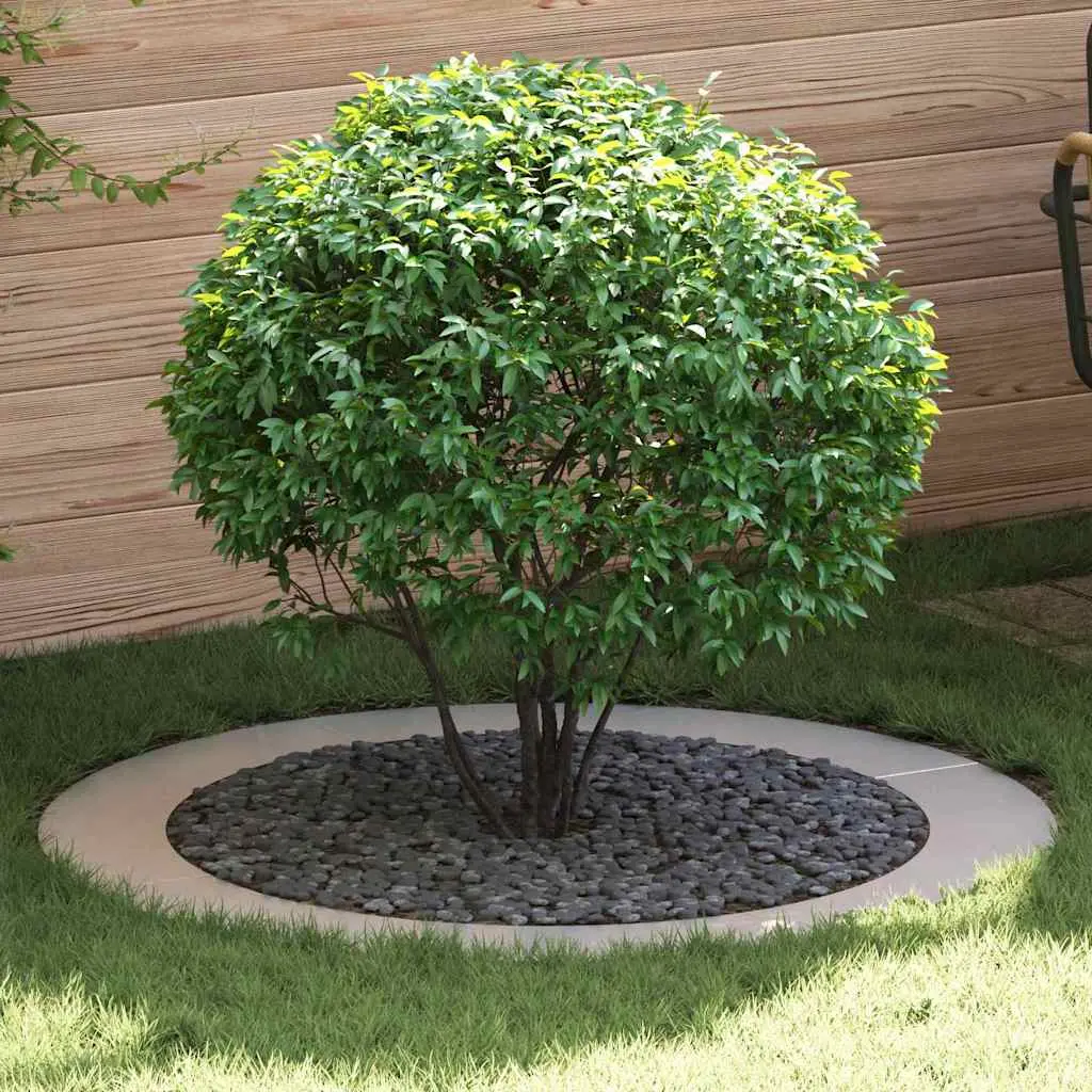 Lot de 5 Cercles d’Arbre Inox pour Jardin Bordure Décorative Ø60cm Argent – ComfortXL Outdoor Living