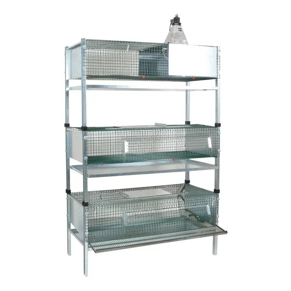 Lot de 3 cages d’élevage cailles calva 100 X 50 X 180 cm