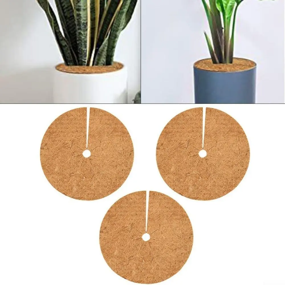 Lot de 3 tapis de protection pour arbres en fibre de coco (20 cm) MCBOSON