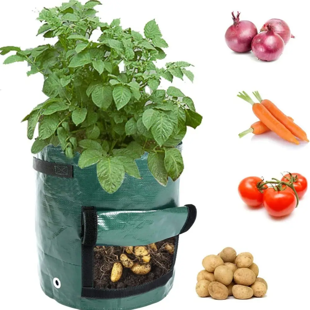 Lot de 2 sacs de culture pommes de terre – Fenêtre récolte – Tissu respirant 30x35cm – Réutilisable