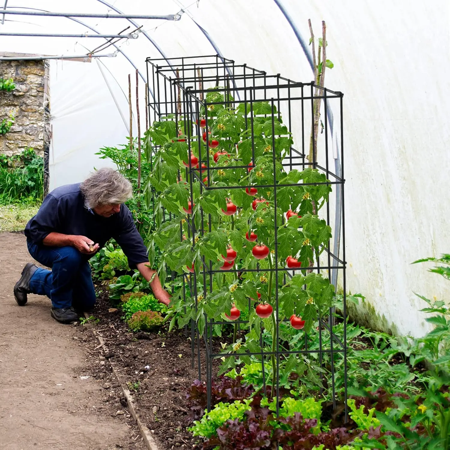 Lot de 4 Treillis à Tomates de Jardin pour Plantes Grimpantes, Piquets de Support pour Plantes en Métal Résistant à la Rouille,40 x 100 cm