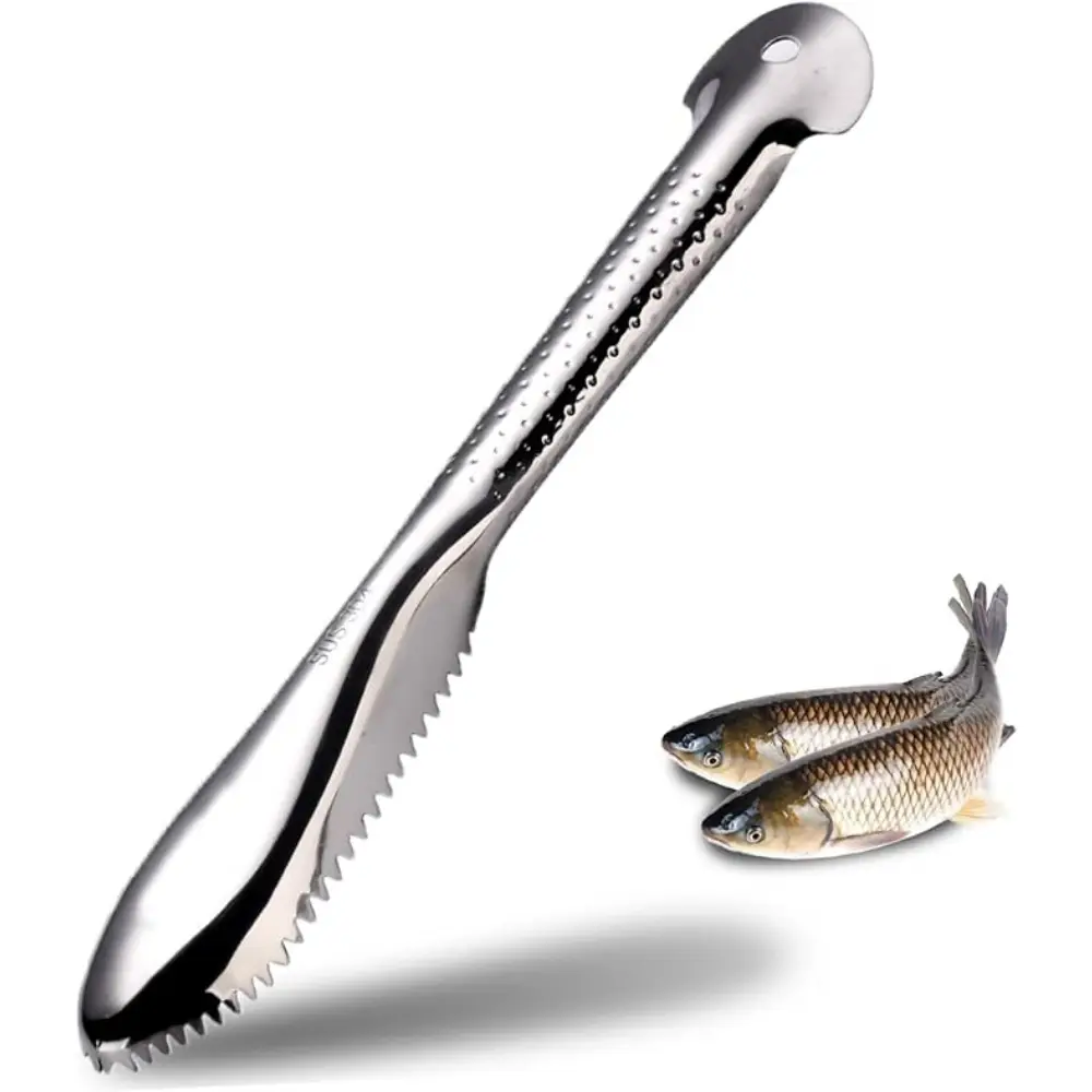 Grattoir À Écailles De Poisson Inox