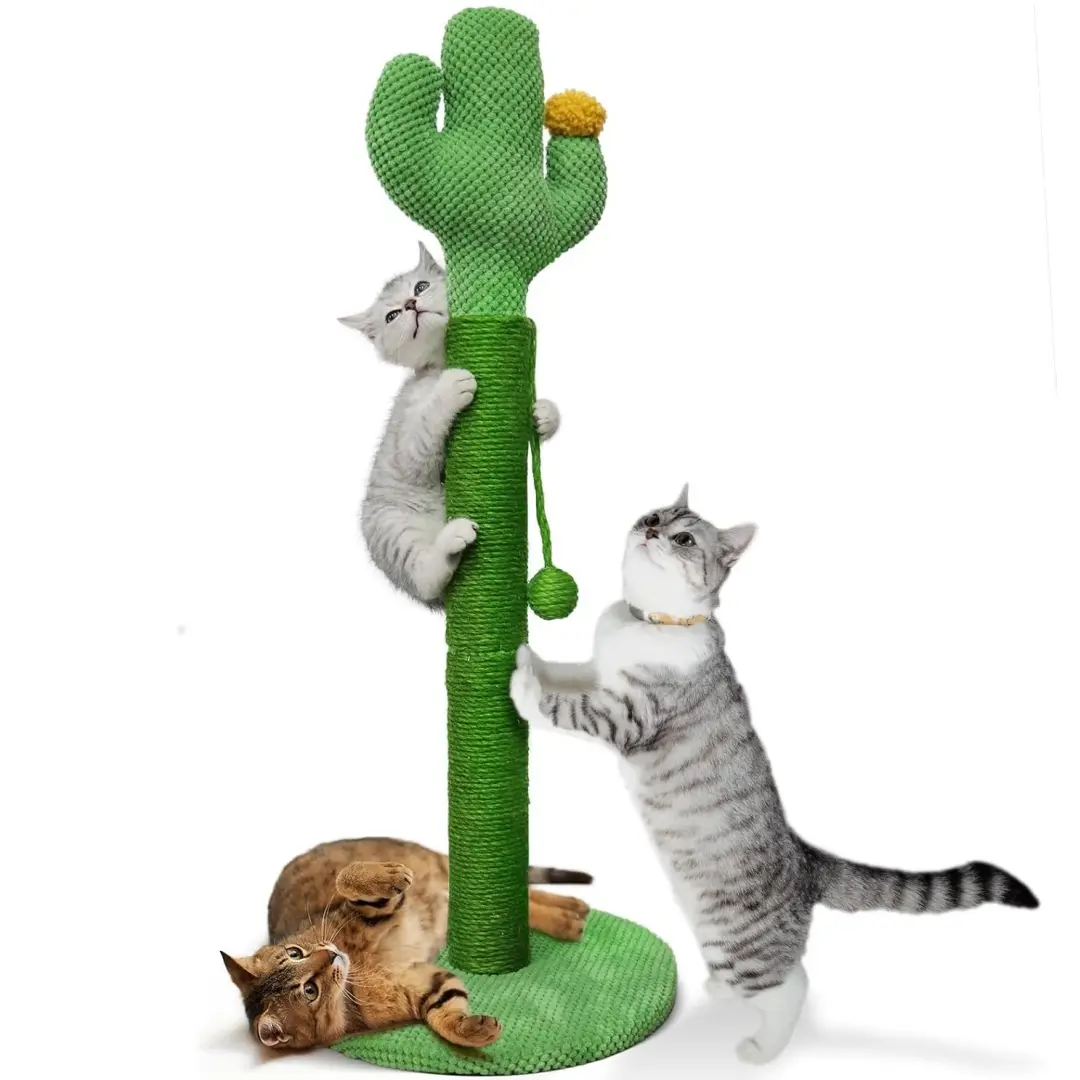 Griffoir en forme d’arbre cactus pour chat, en sisal avec boule jouet, facile à assembler Lytech
