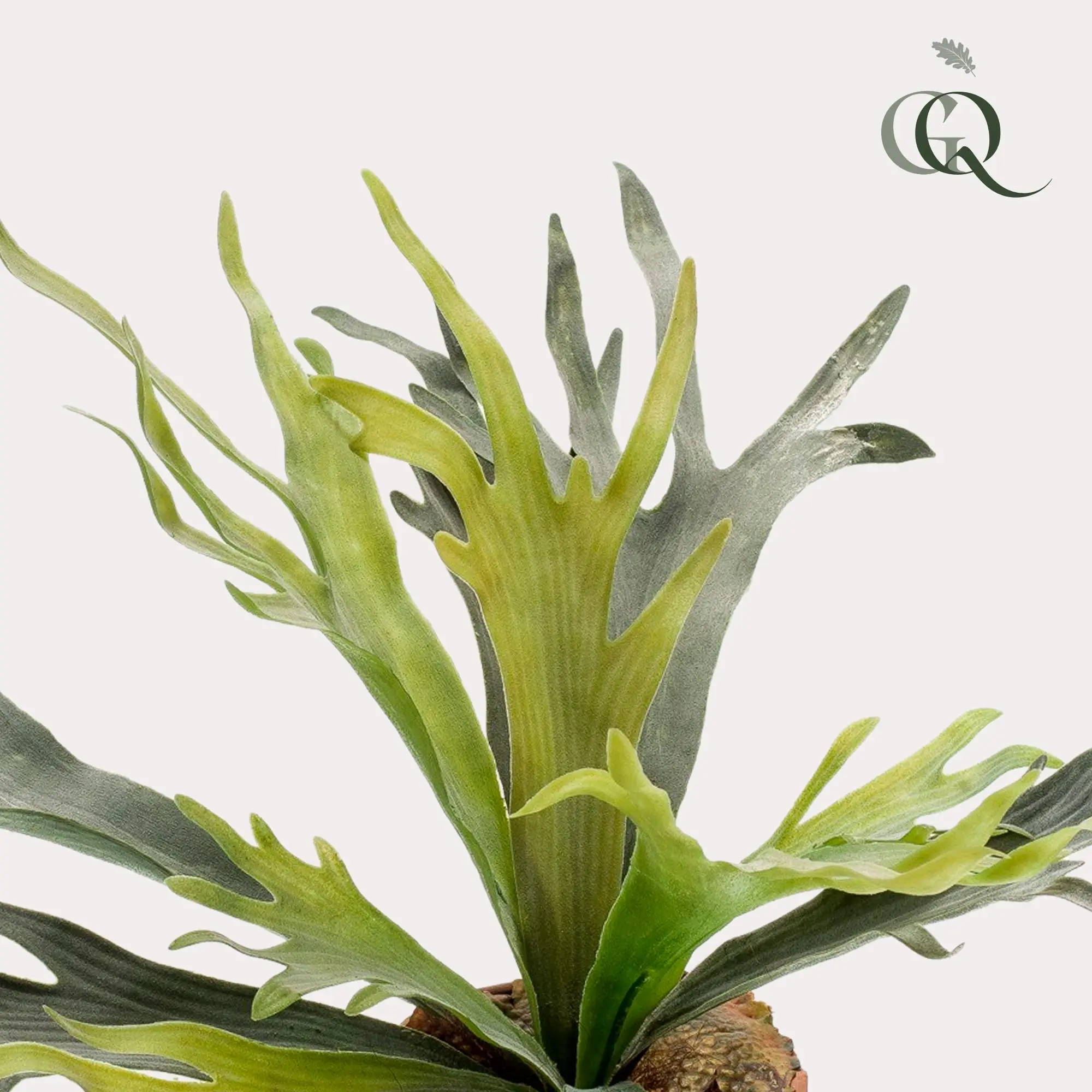 Fougère Corne de Cerf Artificielle Réaliste Décoration Intérieur Pot 50cm