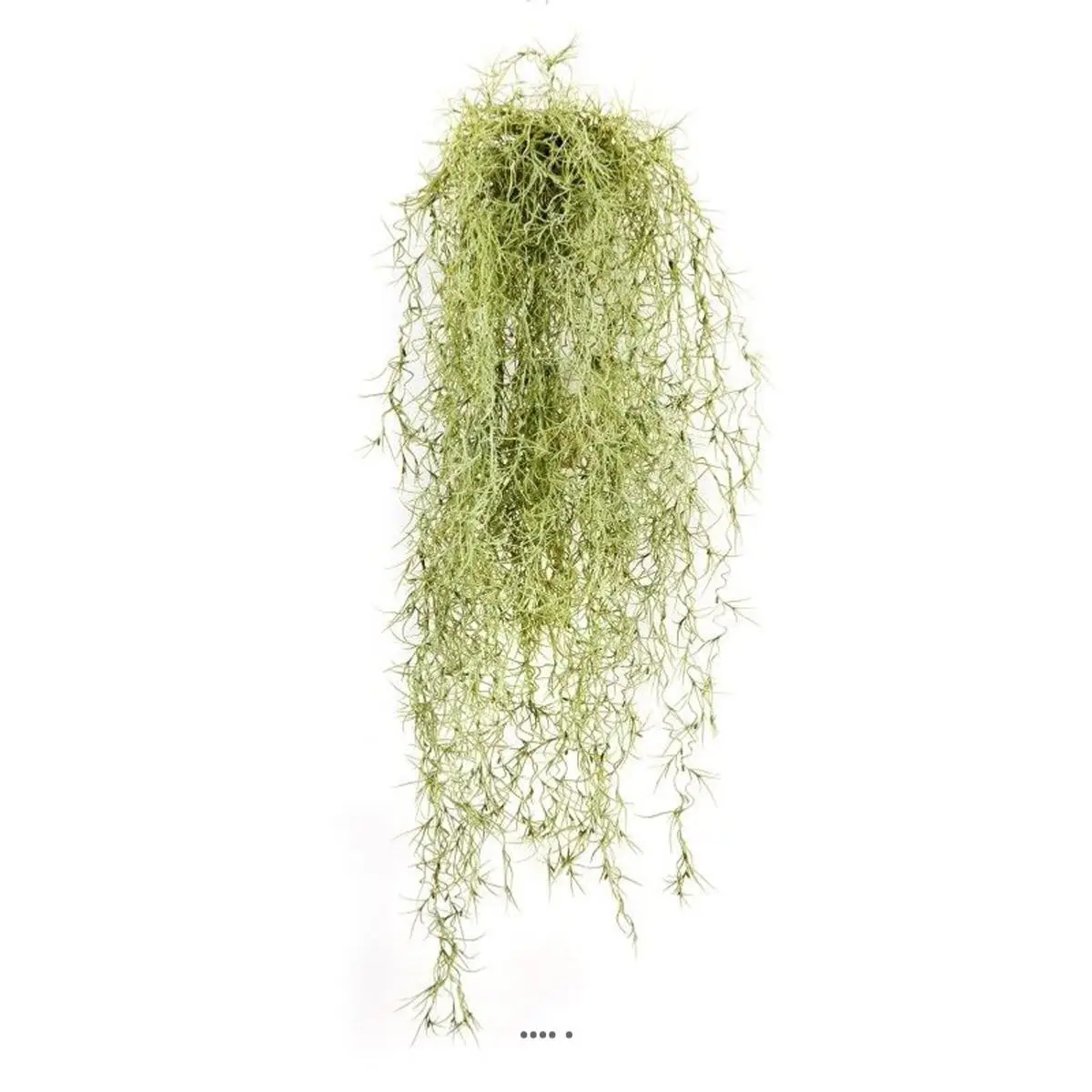 Grande chute de feuillage long hair L 80 cm Vert