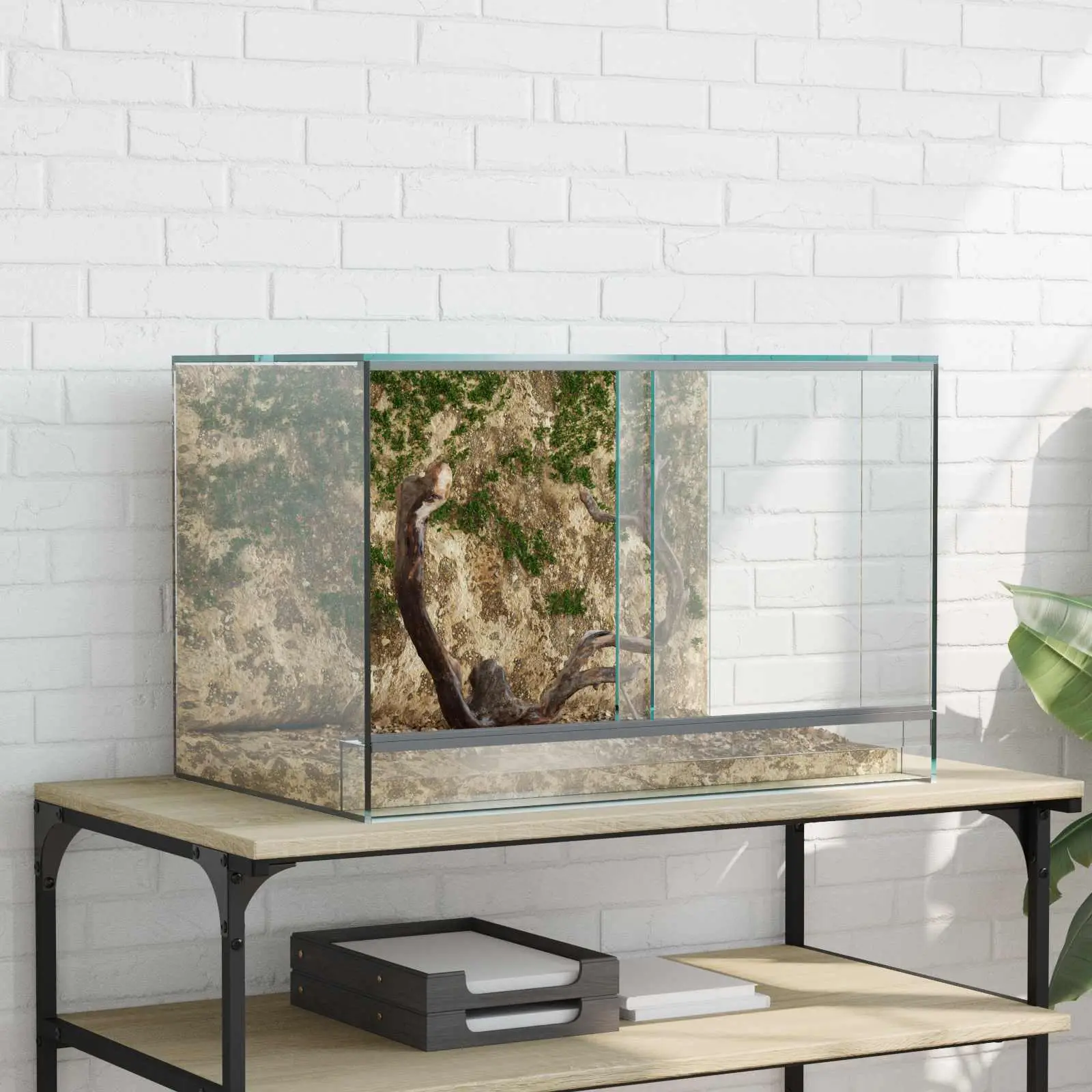 Grand Terrarium Verre pour Reptiles Vision 360° Aération Optimale 60x40x40 cm