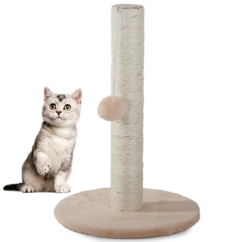 Grattoir pour objet de balle de chat