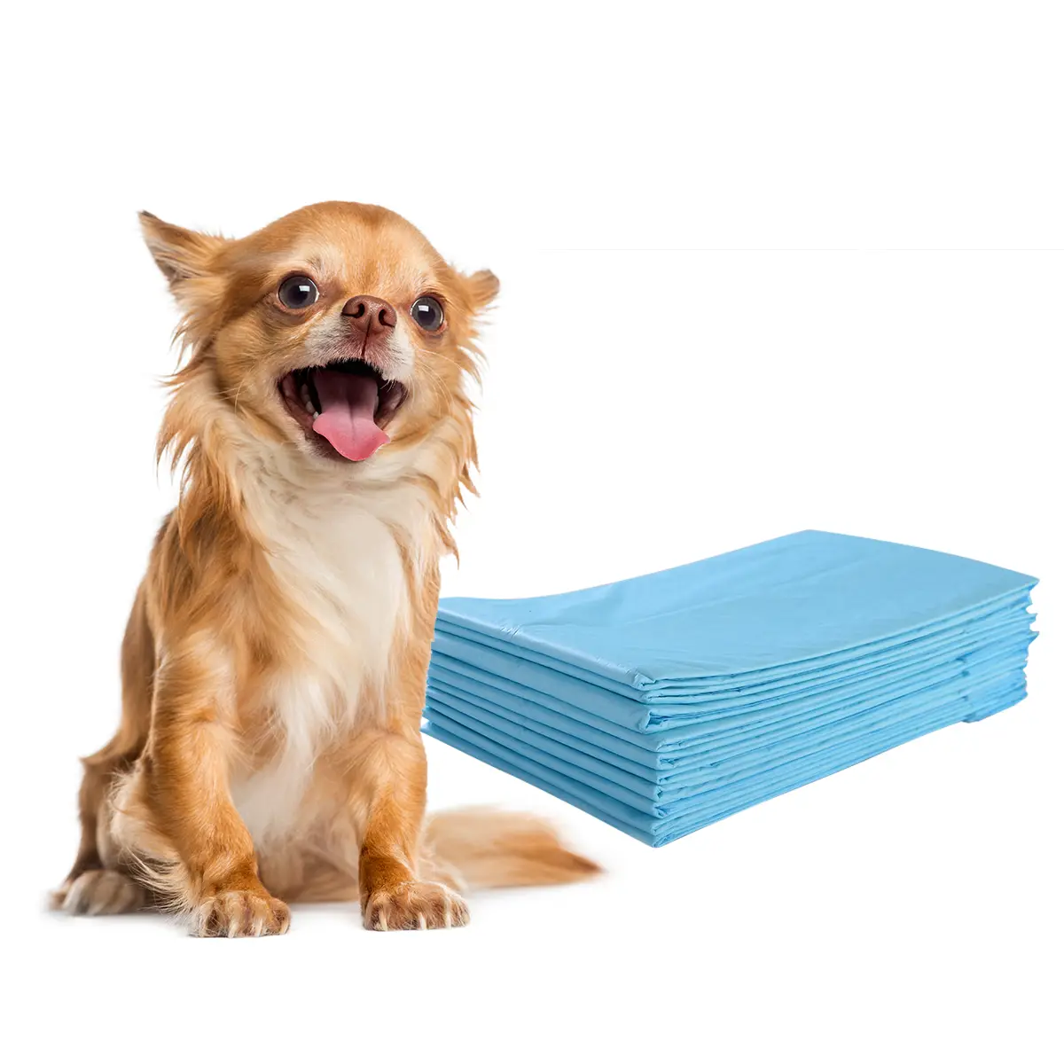 Lot de 300 Tapis d’Entraînement pour Chien Anti-fuite 5 Couches 60 x 43 cm