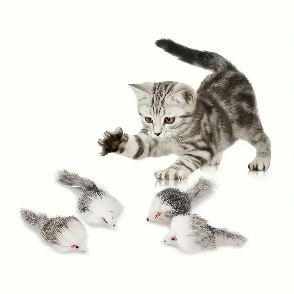 Lot de 4 jouets pour chat et souris DtopbuyAge