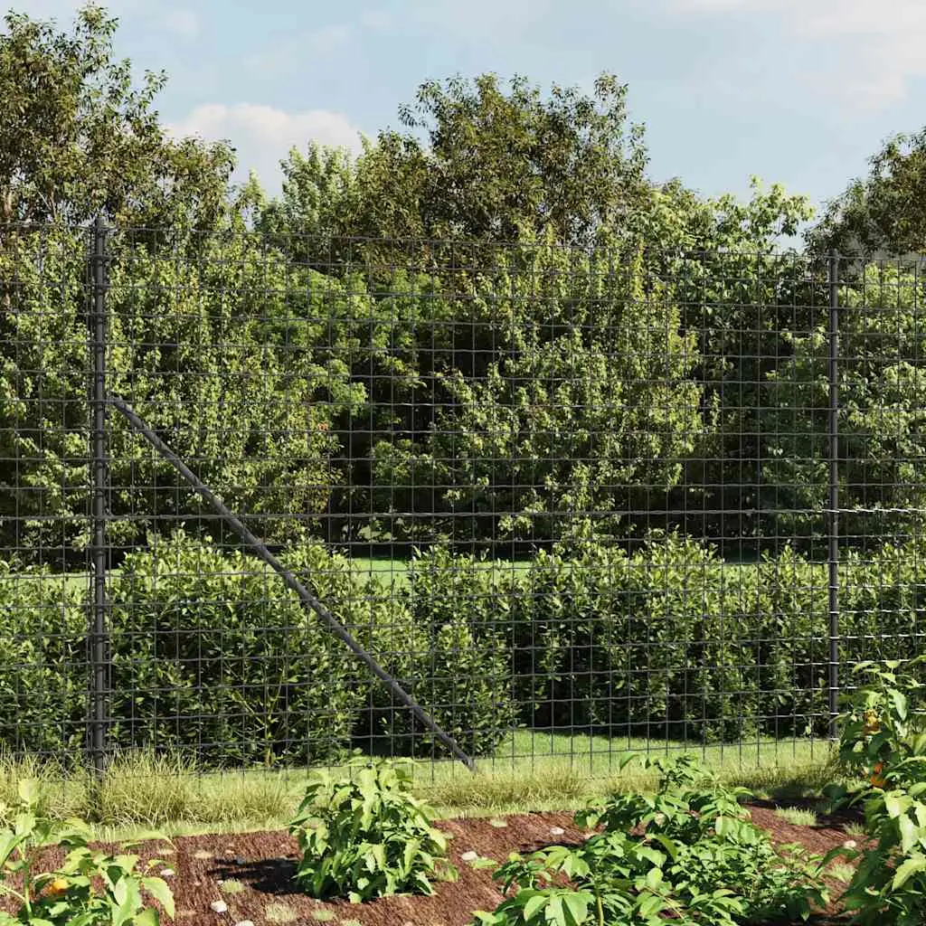 Grillage Clôture Jardin Protection Totale Acier Robuste 2x25m Anthracite