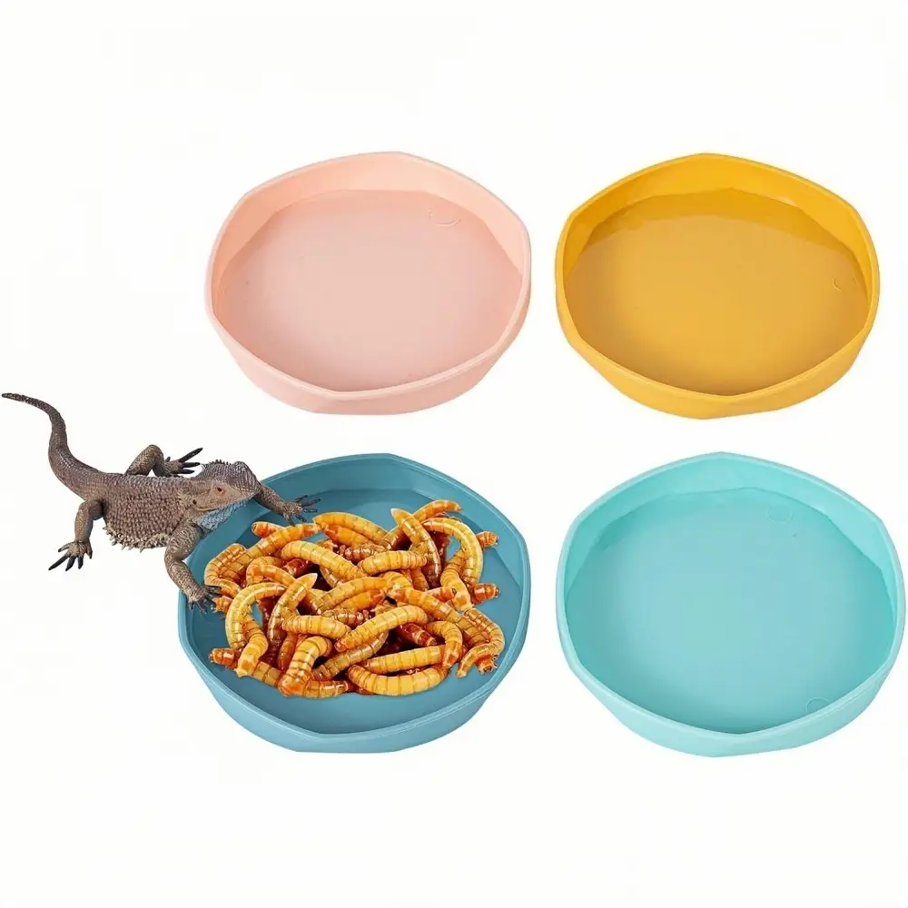 Lot de 4 gamelles à eau pour lézard, gecko, caméléon, anoles DtopbuyAge