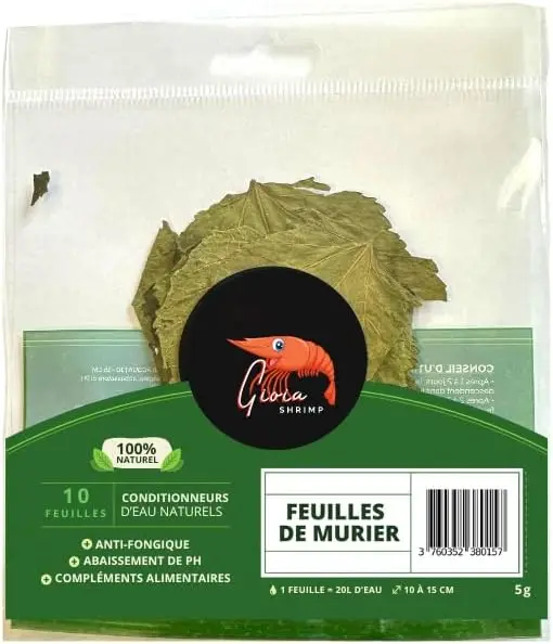 Gioia SHRIMP 10 Feuilles de Murier/Conditionneur d’eau/Alimentation pour crevette d’aquarium