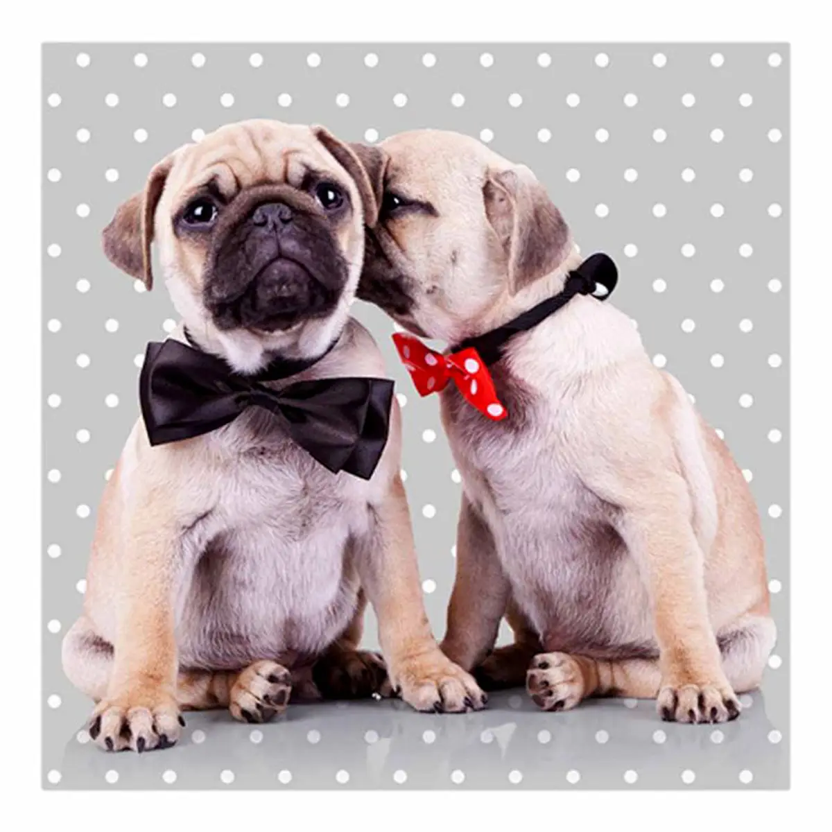 Lot de 20 Serviettes en Papier «Dog Chic» 33x33cm Gris