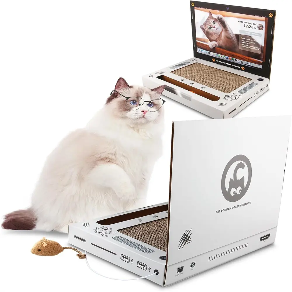 Grattoir pour ordinateur portable DtopbuyAge