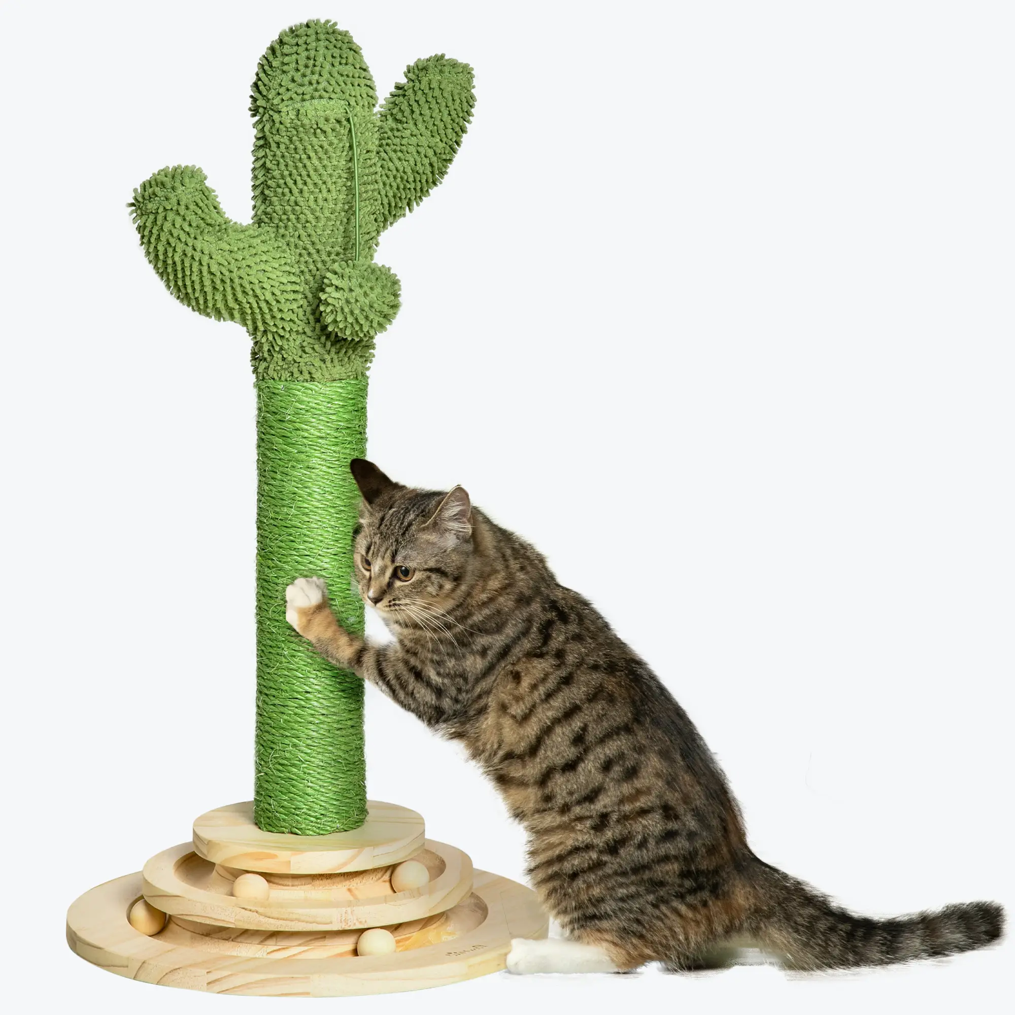 Griffoir chat design cactus