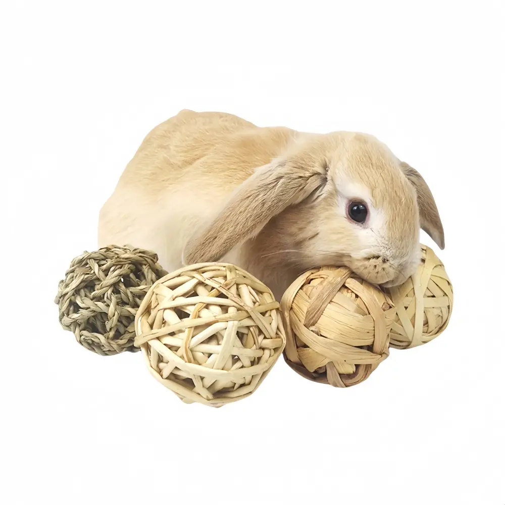 lot de 4 Balles d’herbe pour rongeurs IntiMeg