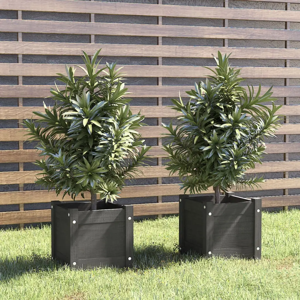 Lot de 2 pots de fleurs carrés pin massif pour extérieur Noir 31cm – ComfortXL Outdoor Living